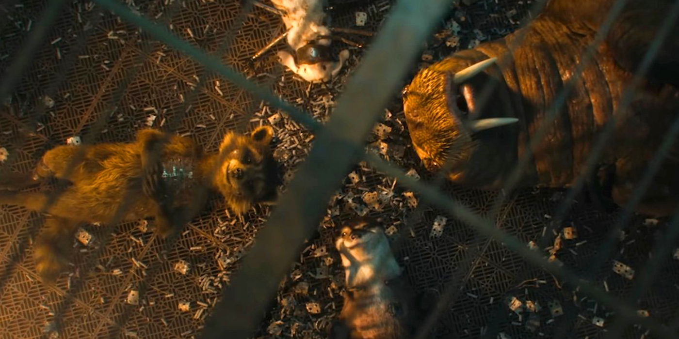 rocket with his friends in guardians 3