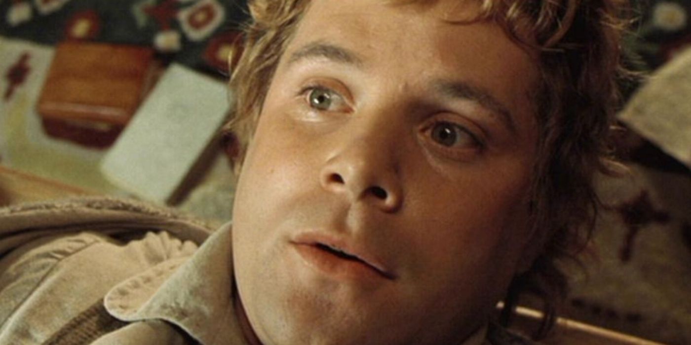 Samwise Gamgee thrown on a table in Lord of the Rings The Fellowship of the Ring