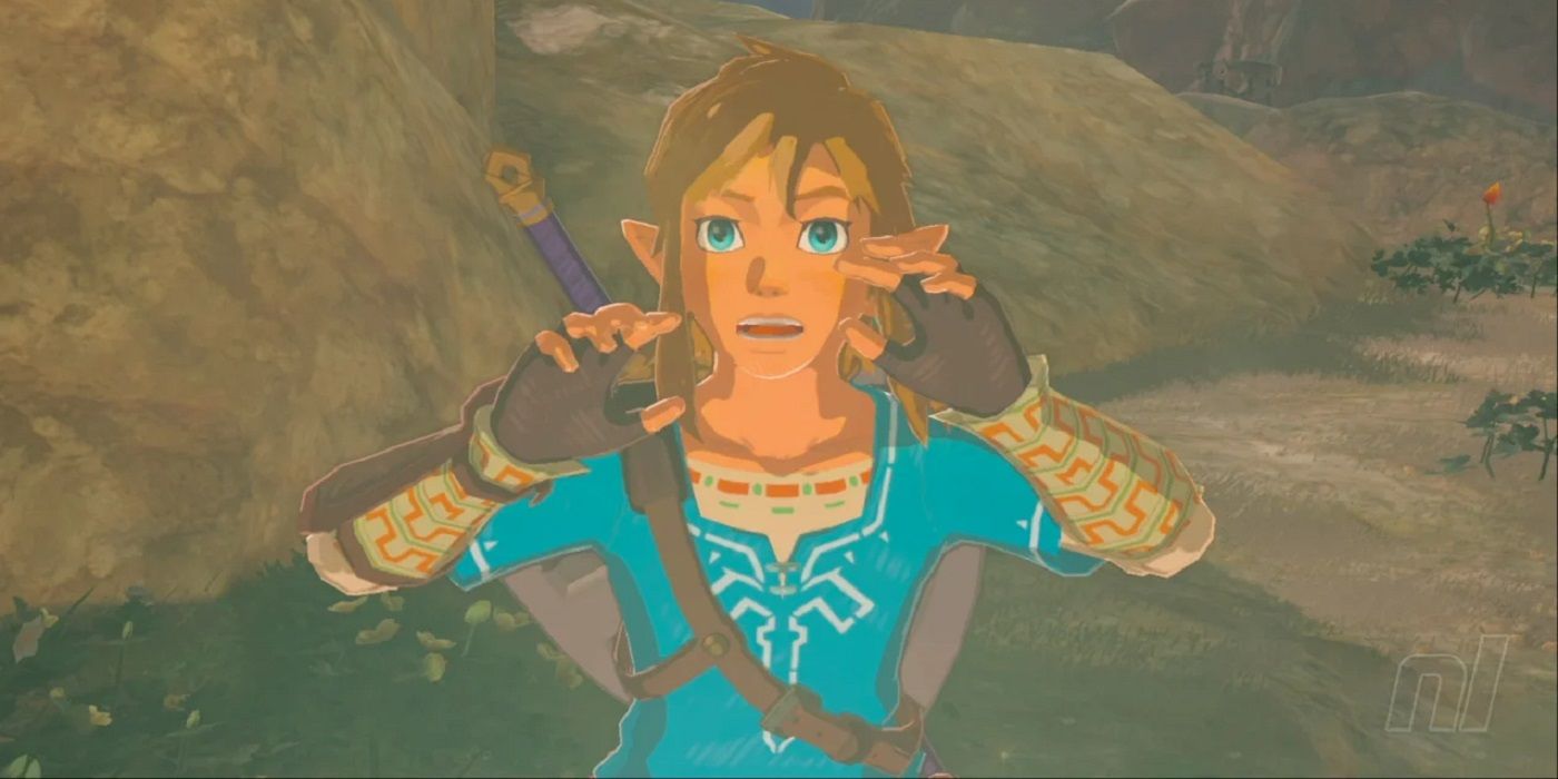 Tears Of The Kingdom Hints At Link And Zelda Being In A Relationship