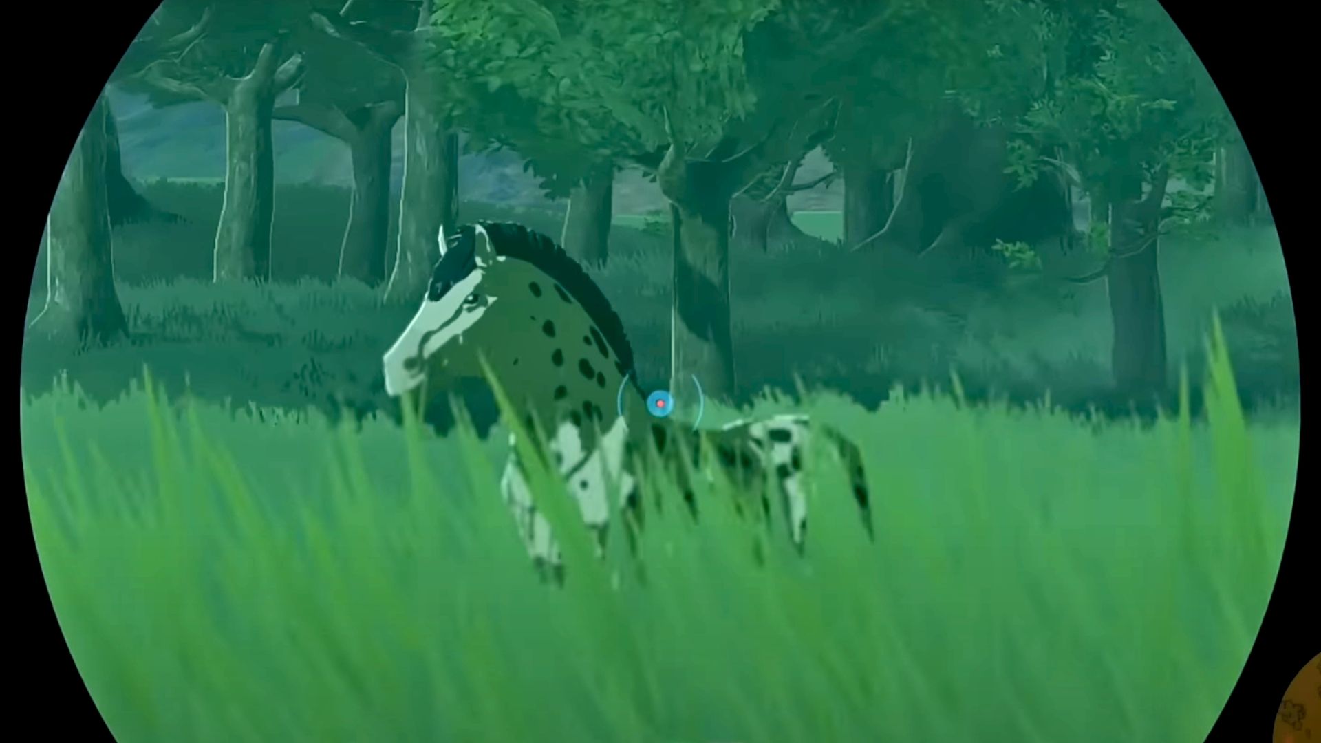 Spot, the horse, in Zelda TOTK viewed through a scope