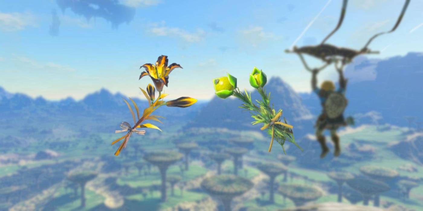Zelda: Tears of the Kingdom Wild Greens Found as Hyrule Herb and Sundelion Ingredients