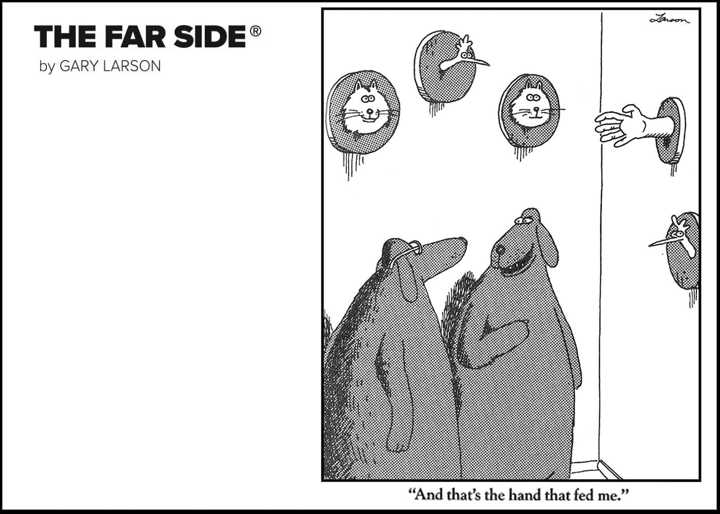 Stephen King’s Favorite Far Side Comic Shows How It Mastered Horror-Comedy