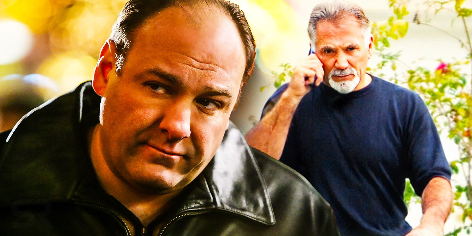 the-sopranos-true-story-the-real-life-mob-boss-who-inspired-tony-soprano