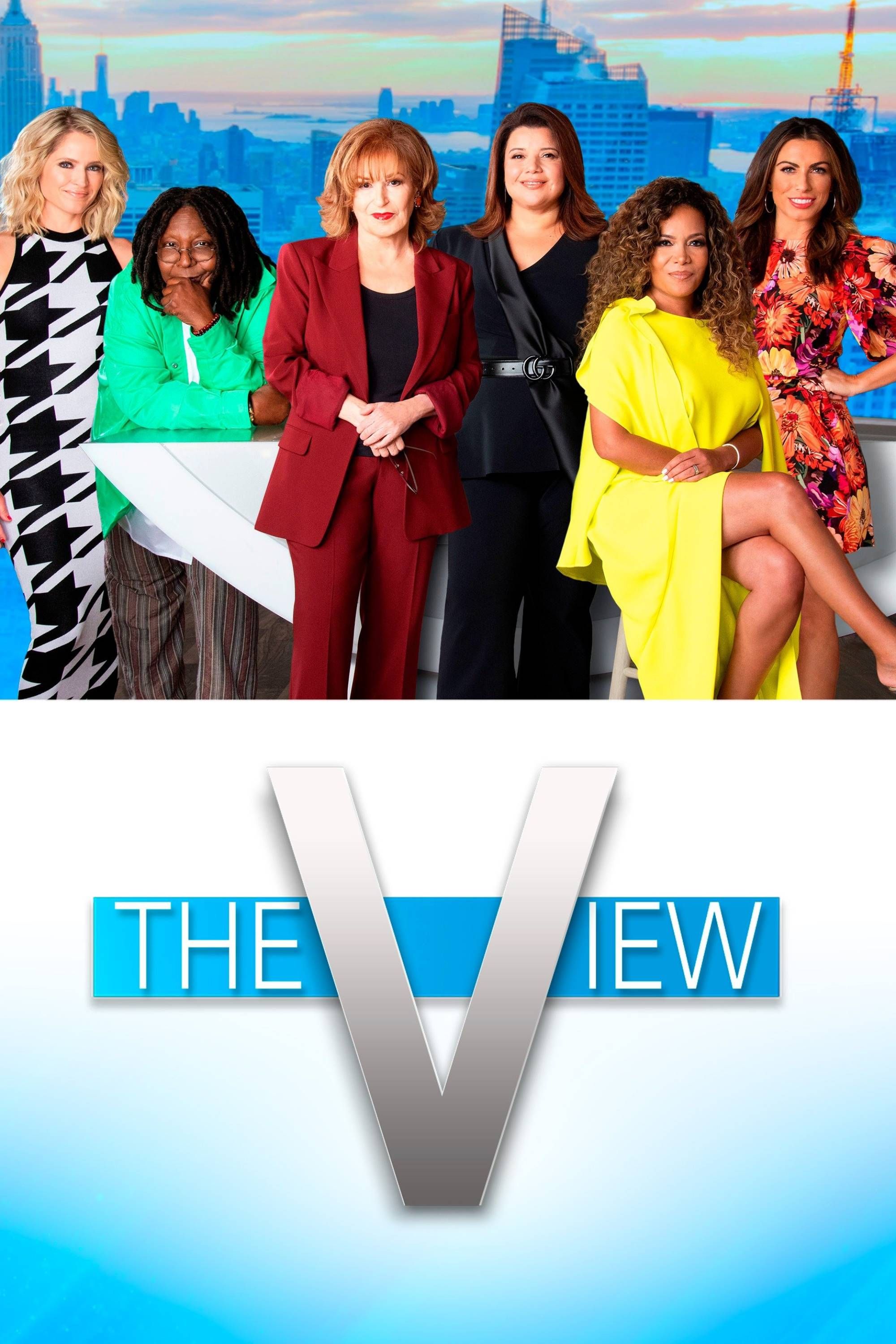 the view poster