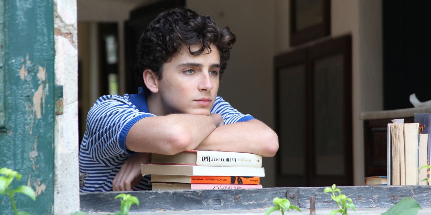 Timothee Chalamet gazing out of a window in Call Me By Your Name