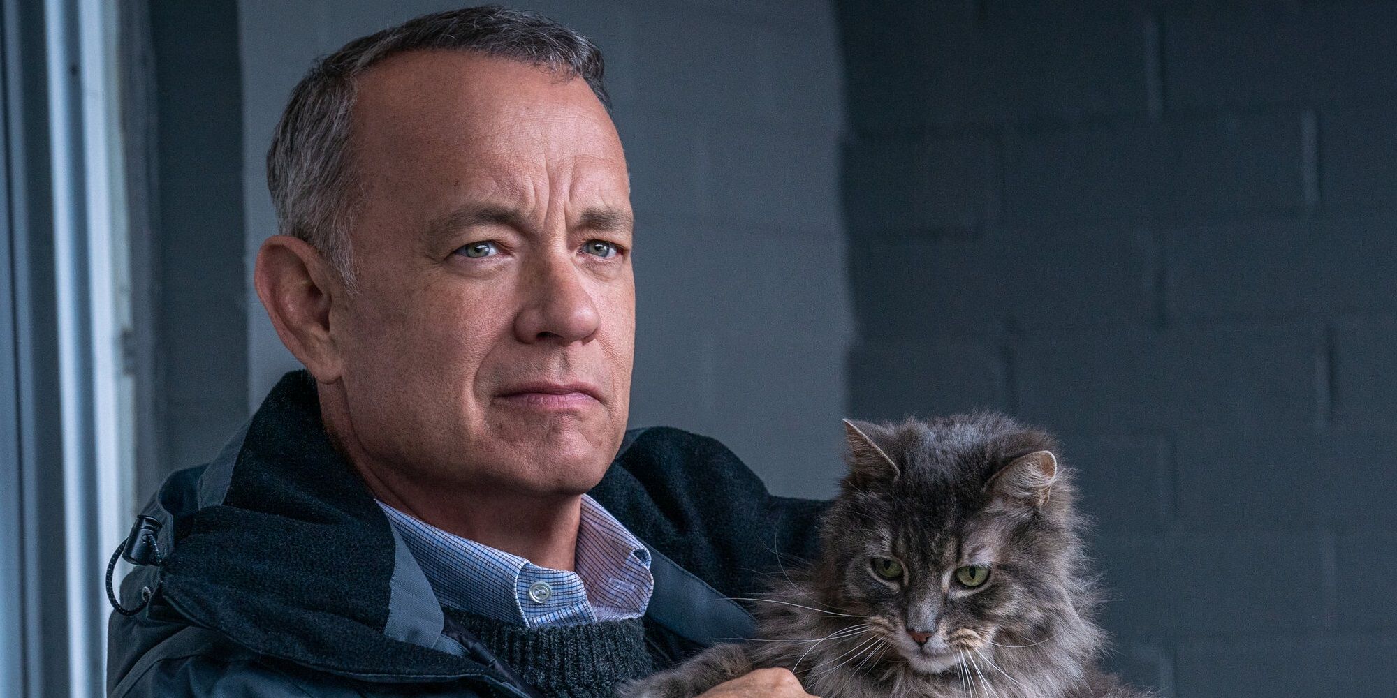 Tom Hanks with a cat in A Man Called Otto