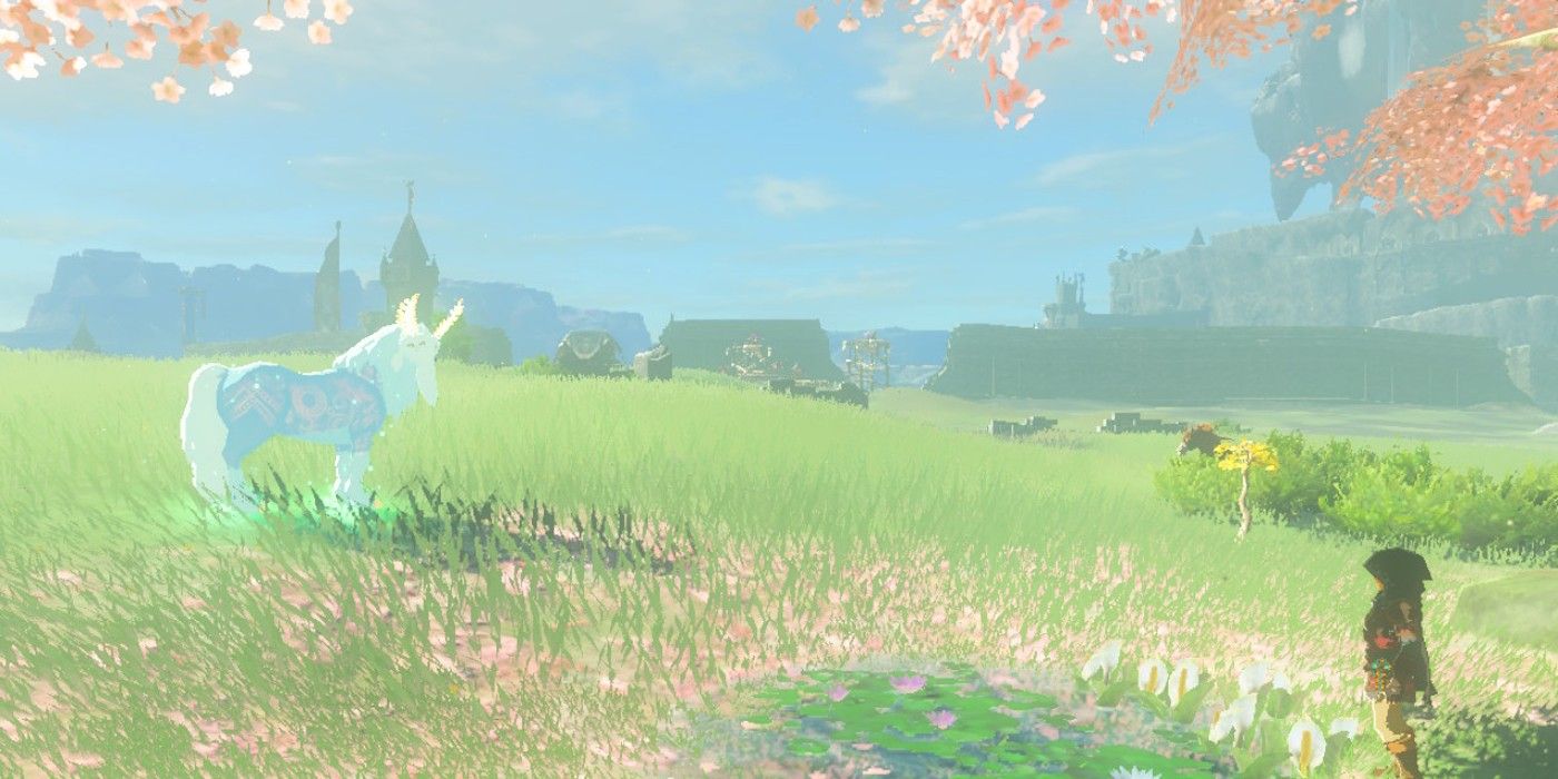 Tautan bertemu Satori di bawah pohon sakura di The Legend of Zelda: Tears of the Kingdom.