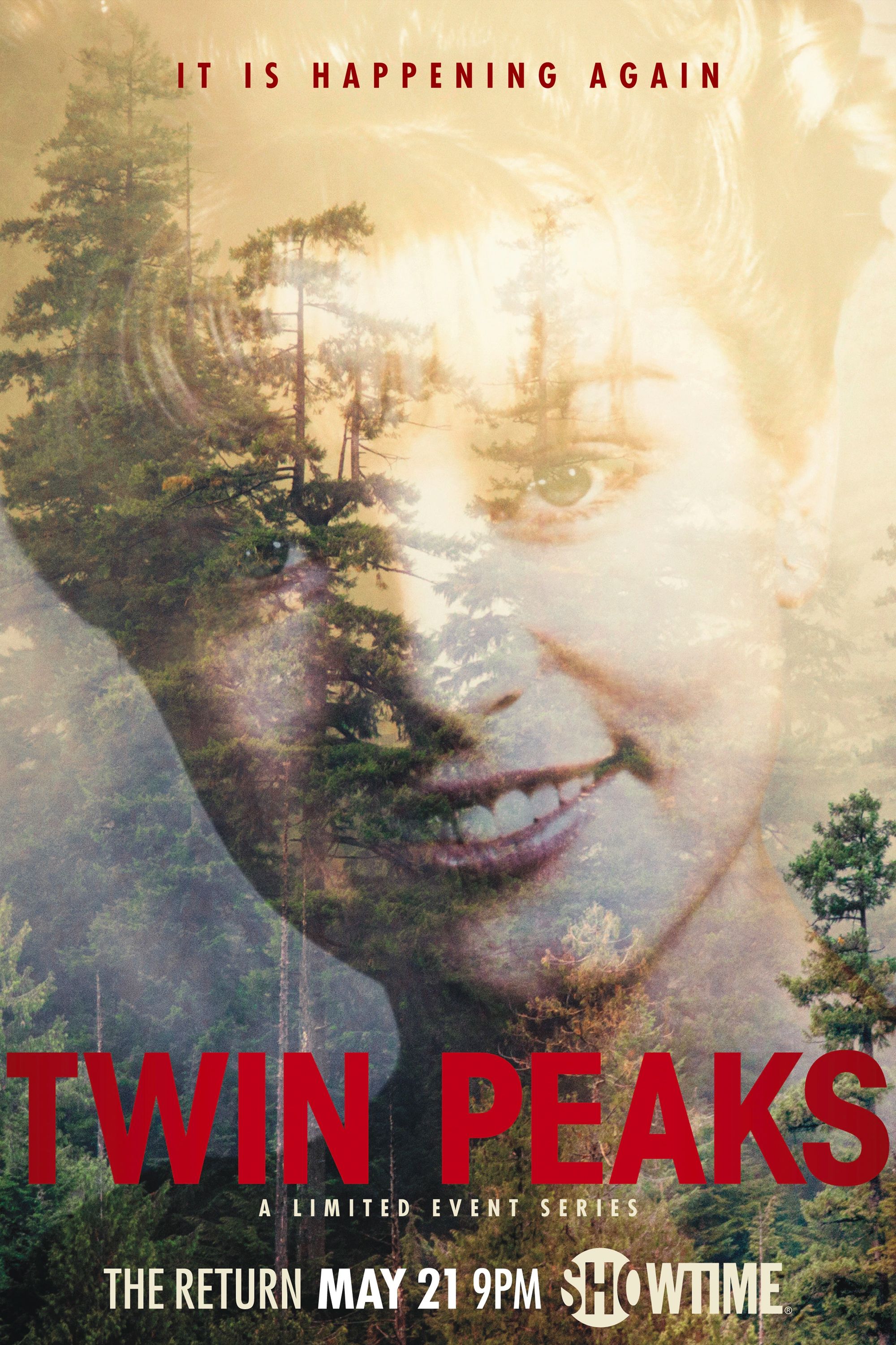 Pôster Twin Peaks