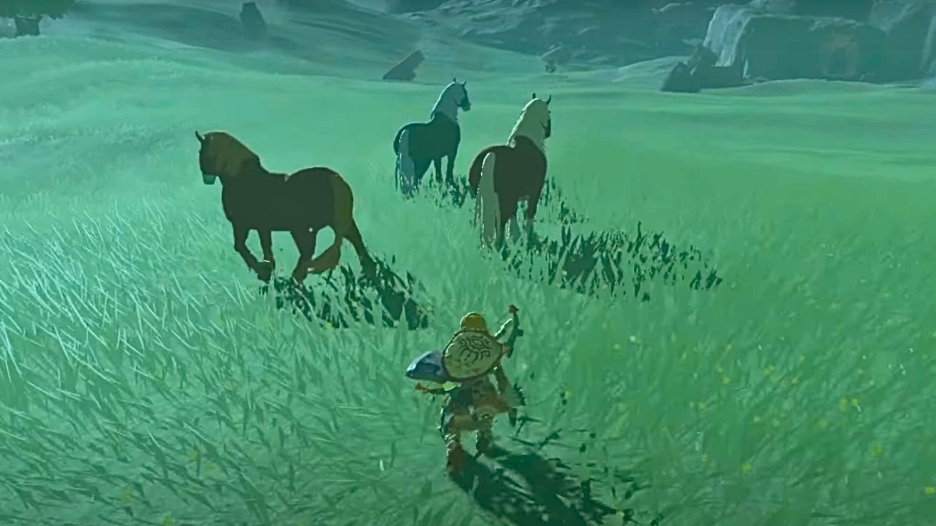 Wild Horses in Zelda TOTK with Link sneaking up on them