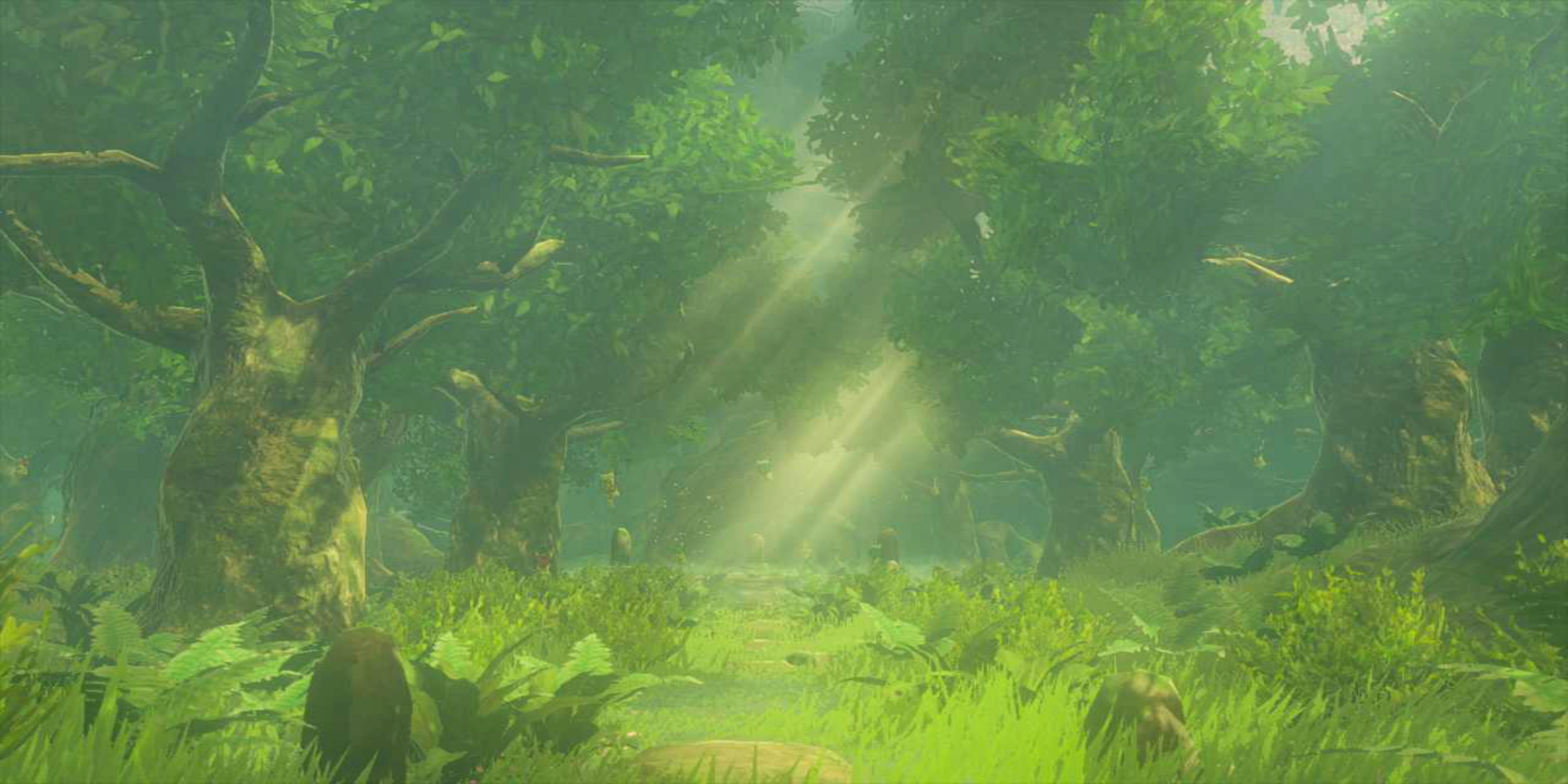 A shot of the Lost Woods in Tears of the Kingdom during the daytime.