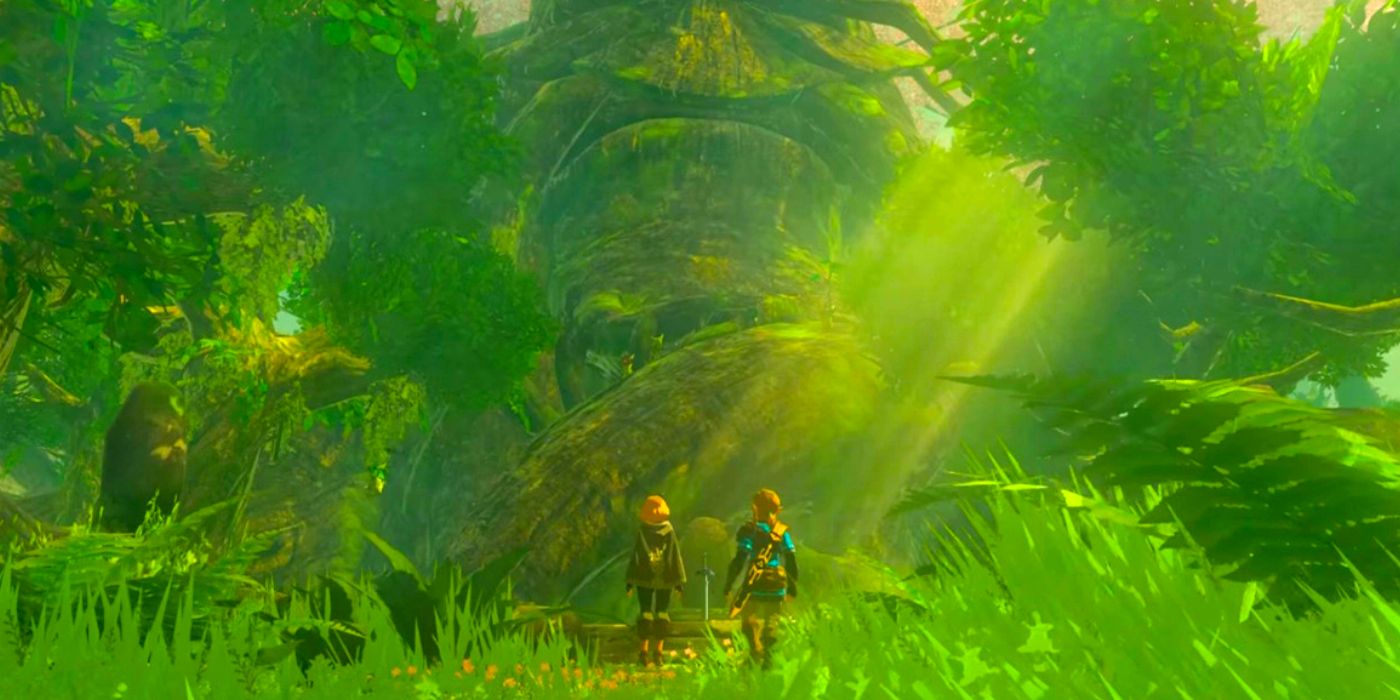 Link and Zelda in front of the Lost Woods in Tears Of The Kingdom