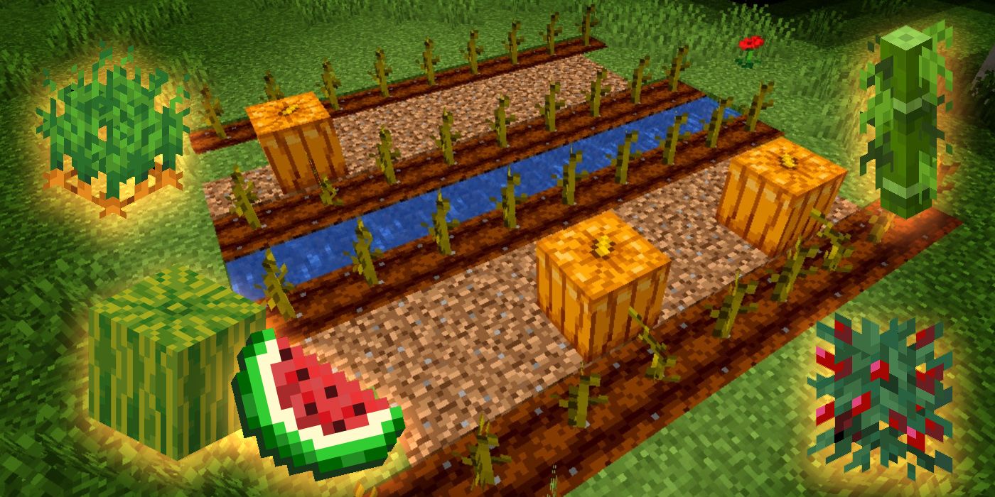 10 best crops to farm in minecraft