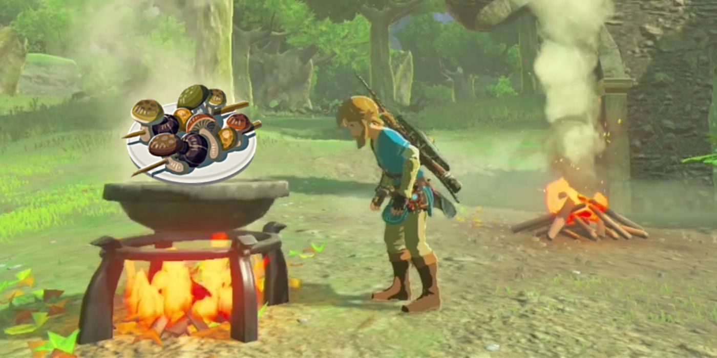 Link looks down at a cooking pot in Tears of the Kingdom with a plate of multicolored Copious Mushroom Skewers rising from it.