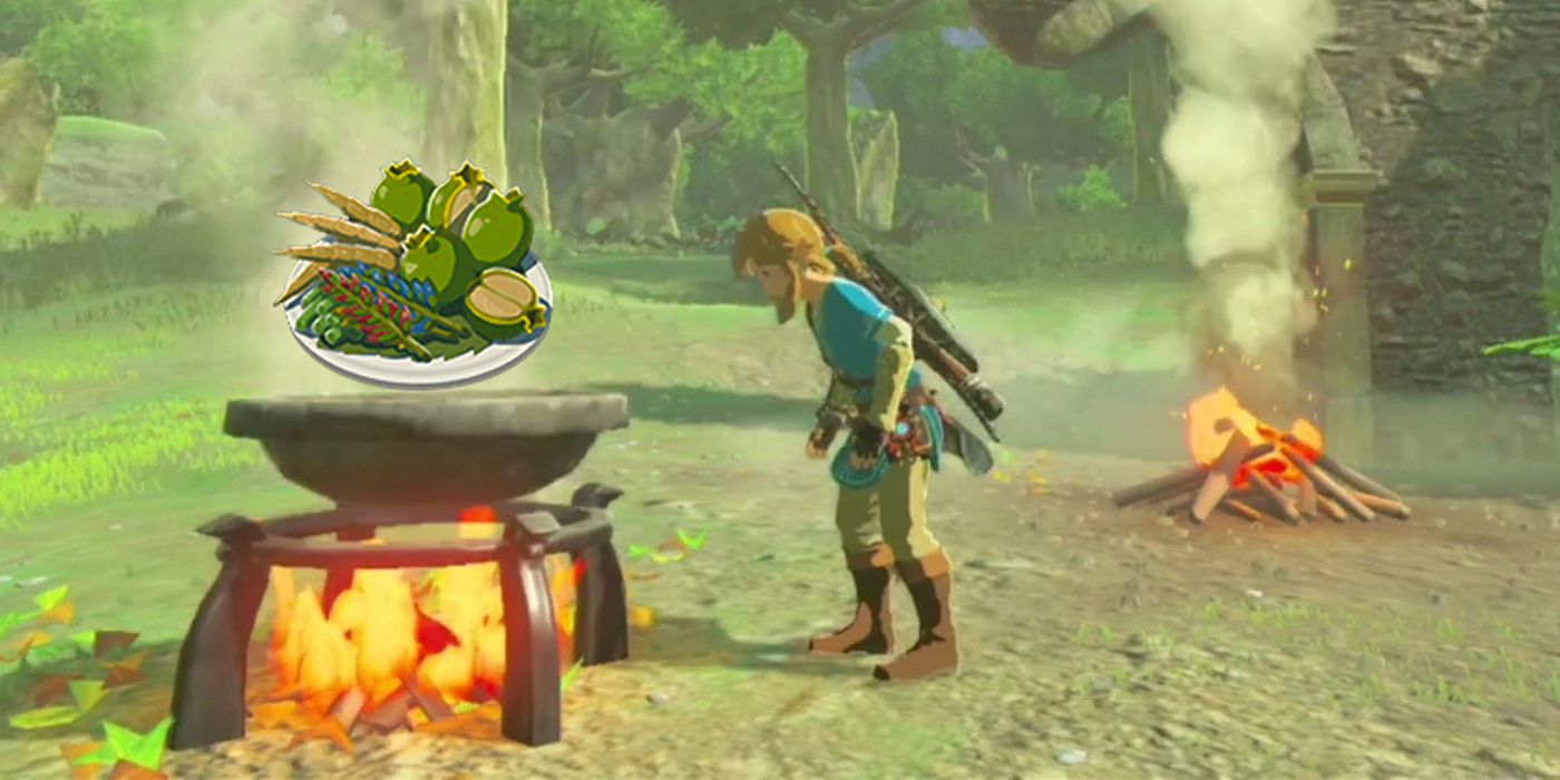 Link looks down at a plate of Fried Wild Greens rising from a cooking pot in Tears of the Kingdom.