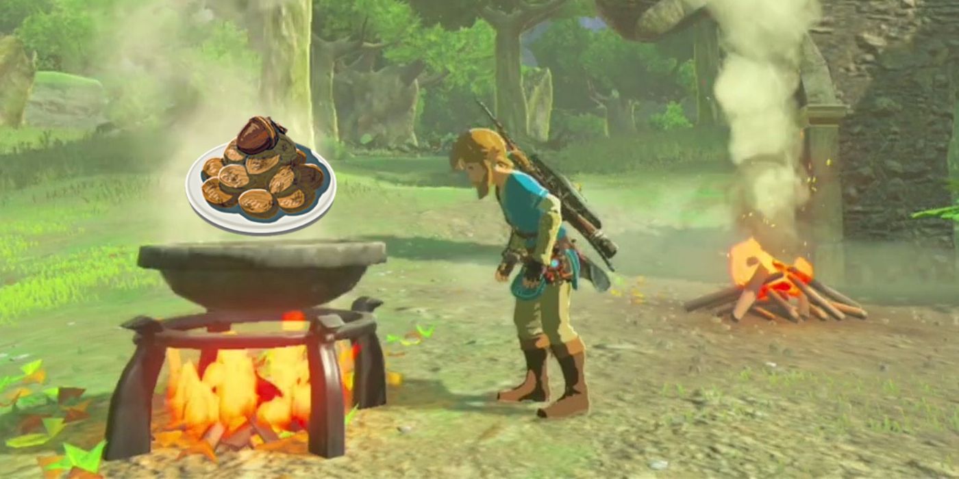 Link looks down at a cooking pot in Tears of the Kingdom with a plate of Sauteed Nuts rising out of it.