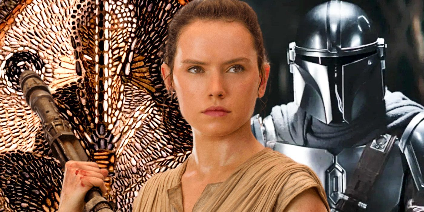 Lucasfilm Confirm Next Star Wars Movie Plans Jedi Origin Mandalorian Movie And Rey S Return