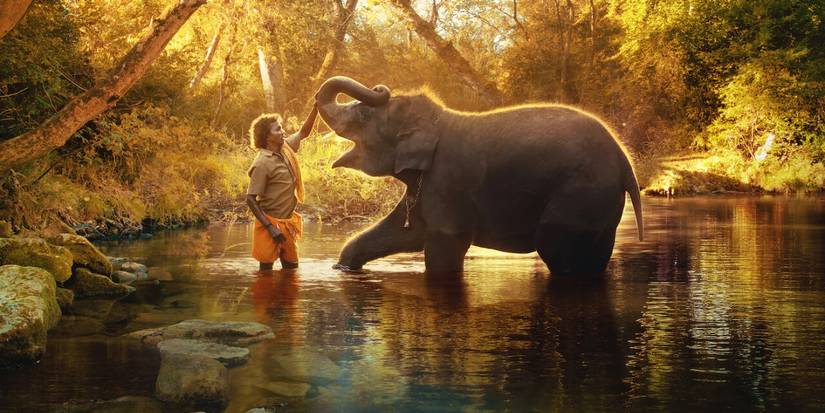 A man with an elephant in a lake in The Elephant Whisperers