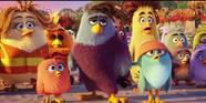 The Angry Birds Movie Voice Cast Character Guide What The Actors The Angry Birds Movie Voice Cast Character Guide What The Actors