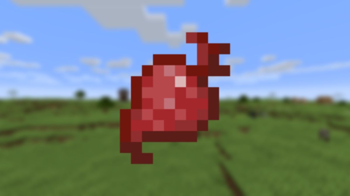Red beetroot rendered against a blurry background of some plains in Minecraft