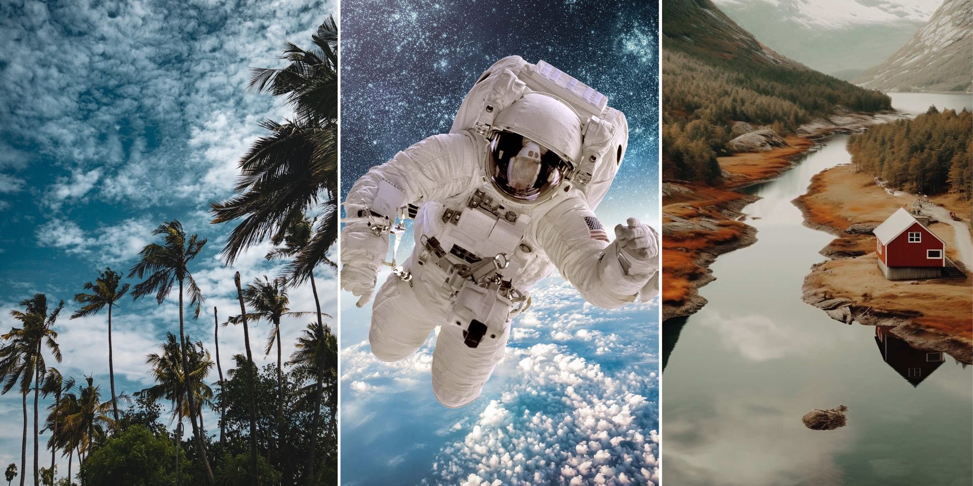 30+ Best iPhone Wallpaper in 2023 to Meet All Your Wallpaper Needs - Fotor