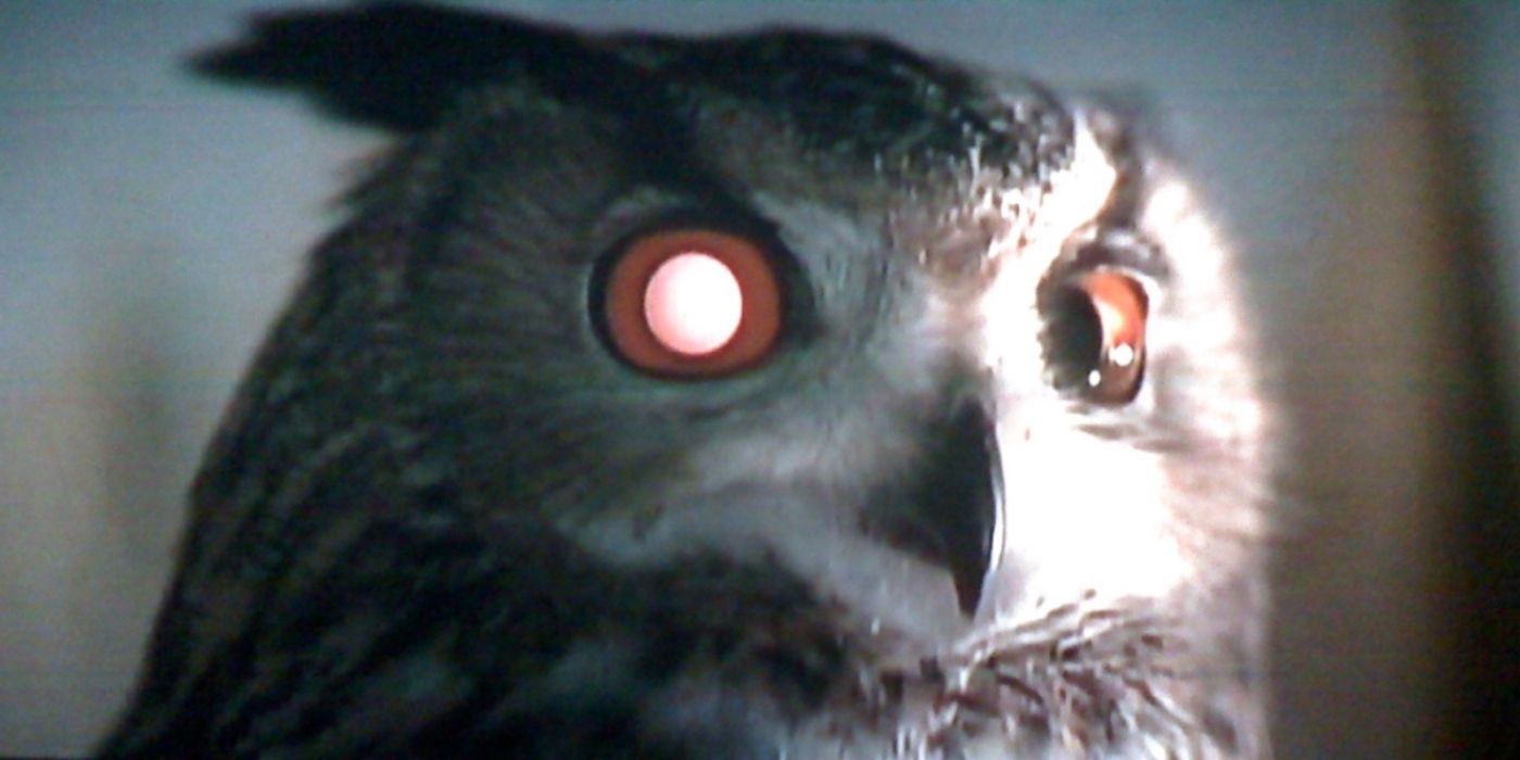 An owl in Blade Runner