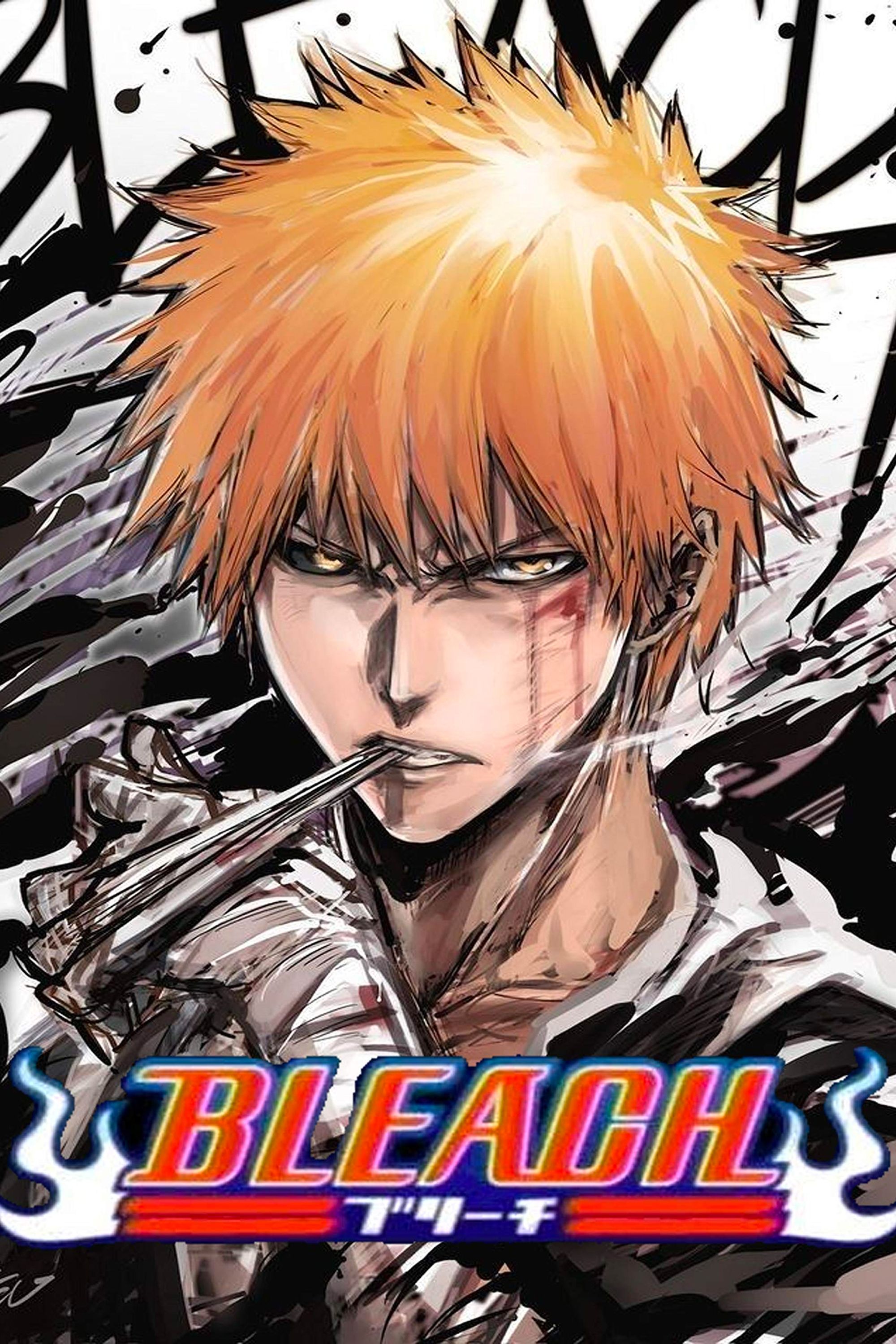 Bleach Manga Cover