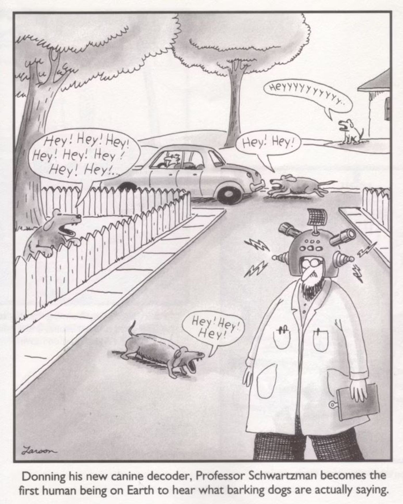 Canine Decoder Far Side