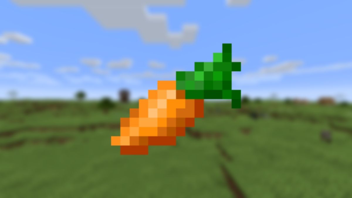 View of a carrot on a blurry background of some plains in Minecraft