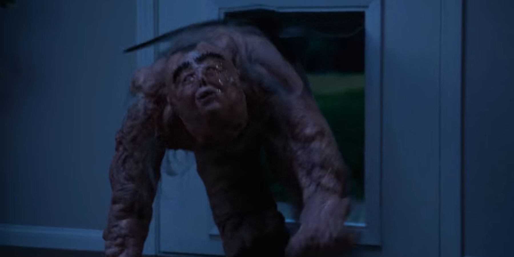 Uncontrollable Laughter Guaranteed: 15 Hilarious Quotes from I Think You Should Leave