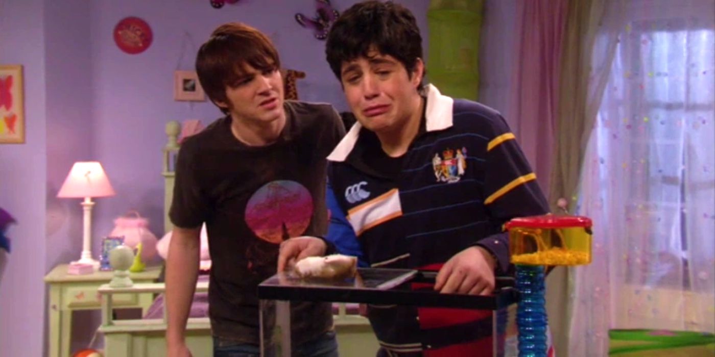 Drake and Josh after accidentally killing Megan's hamster