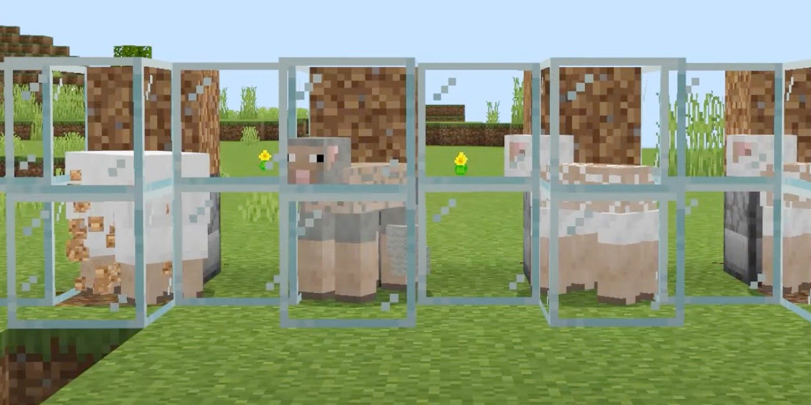 Easy Sheep Farms proporciona lana a un jugador de Minecraft