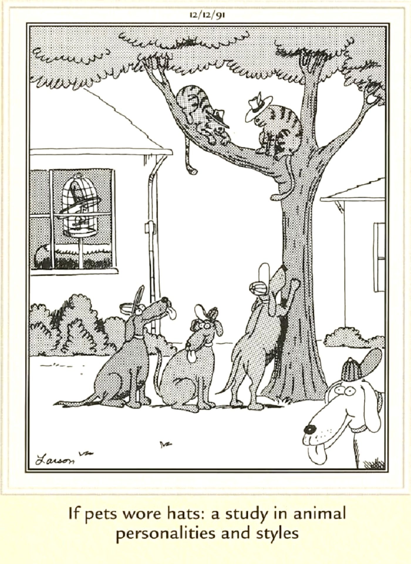 Far Side Pets Hats