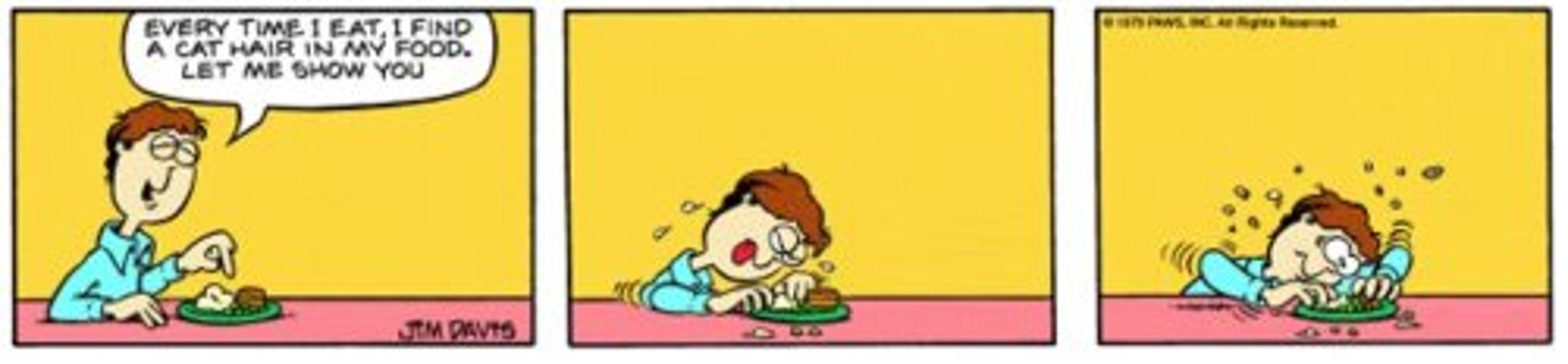 Cabelo de gato Garfield