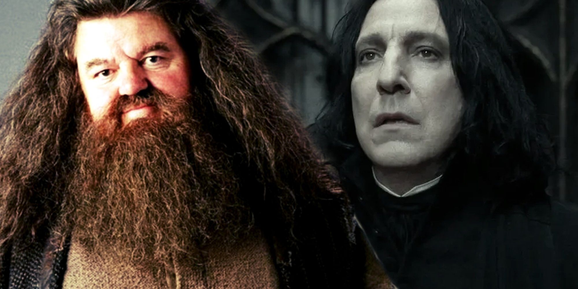 Hagrid and Snape in Harry Potter