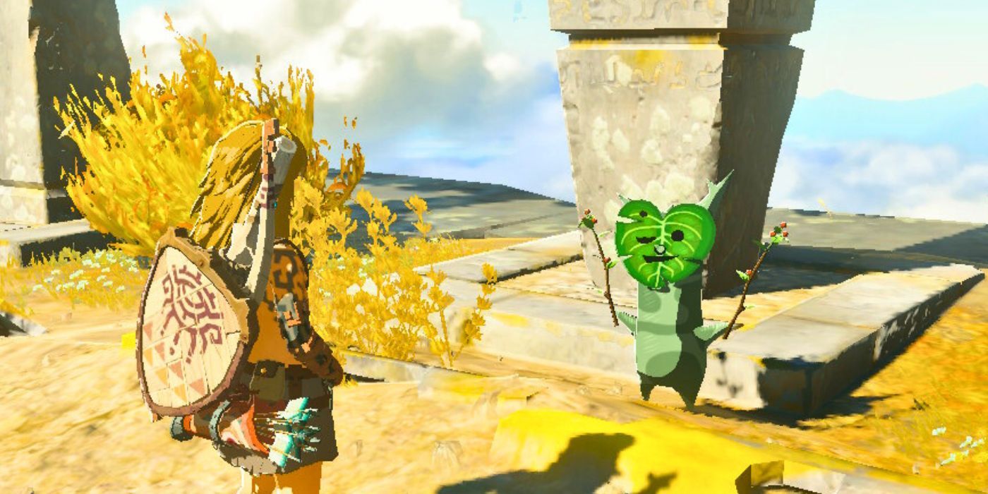 Korok Seed Puzzles Trivialized by Strange Zelda Trick: Tears of the Kingdom