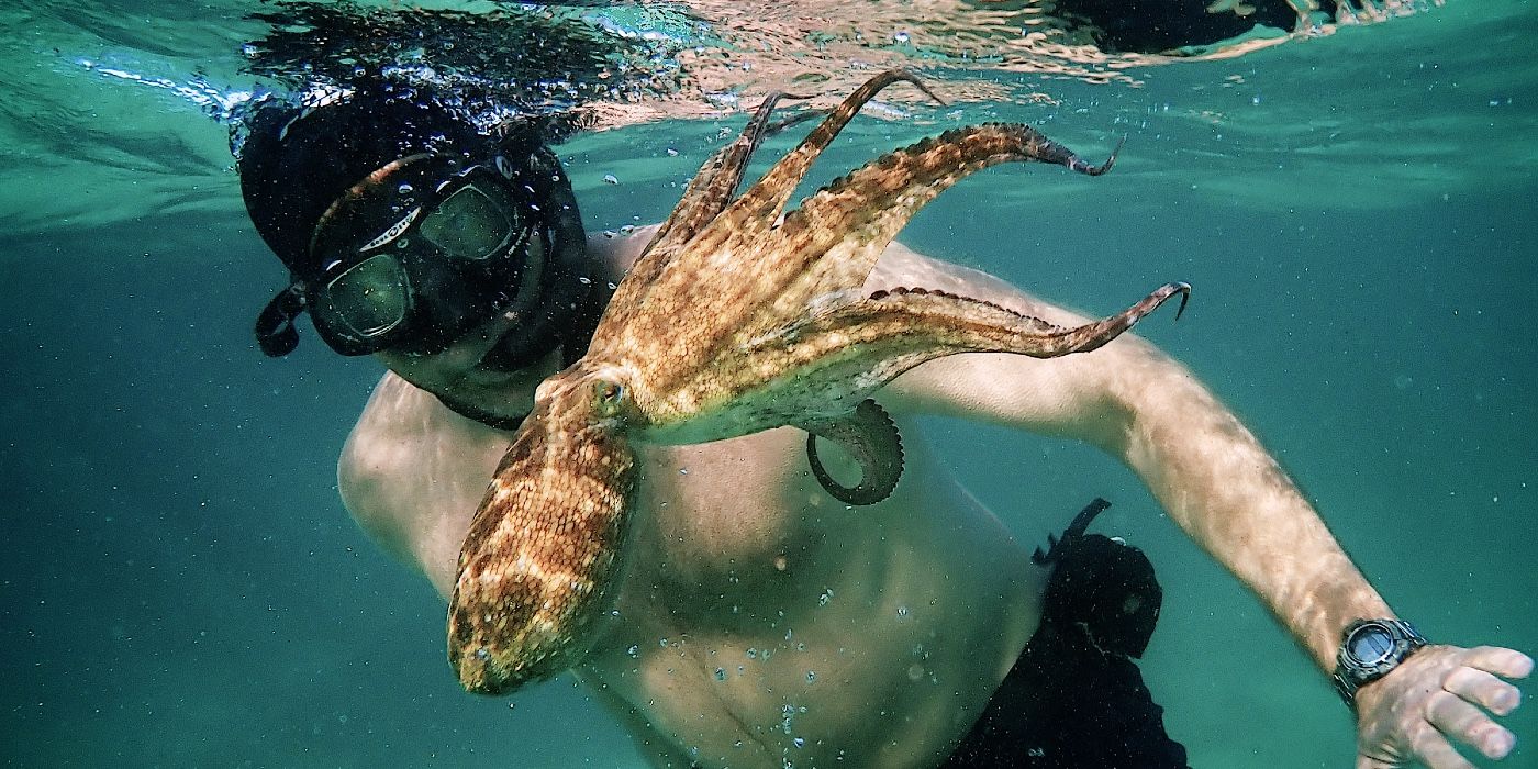 Man scuba diving with an octopus in My Octopus Teacher Netflix
