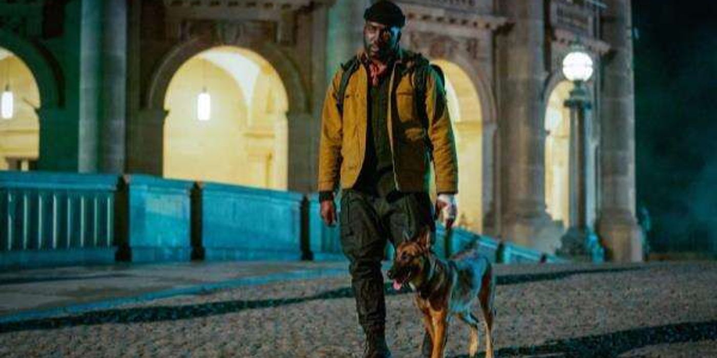 12 Things You Didn't Know About John Wick's Dogs