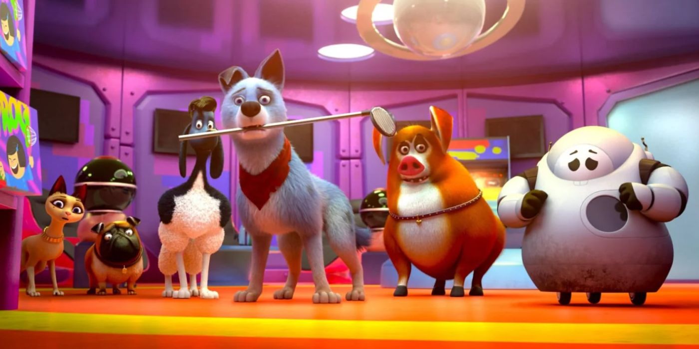 Pets prepare to fight in their colorful penthouse.