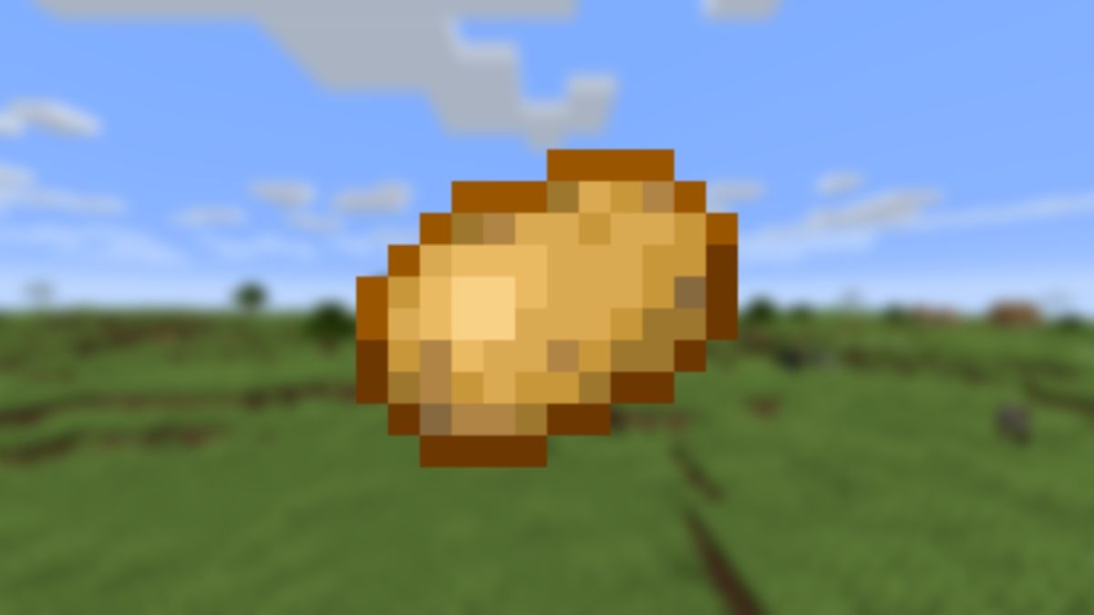 View of a potato on a blurry background of some plains in Minecraft