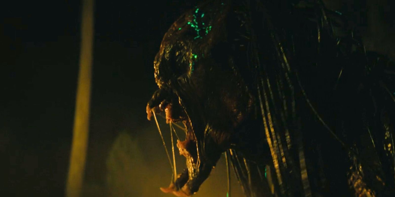 Predator attacked in Prey movie