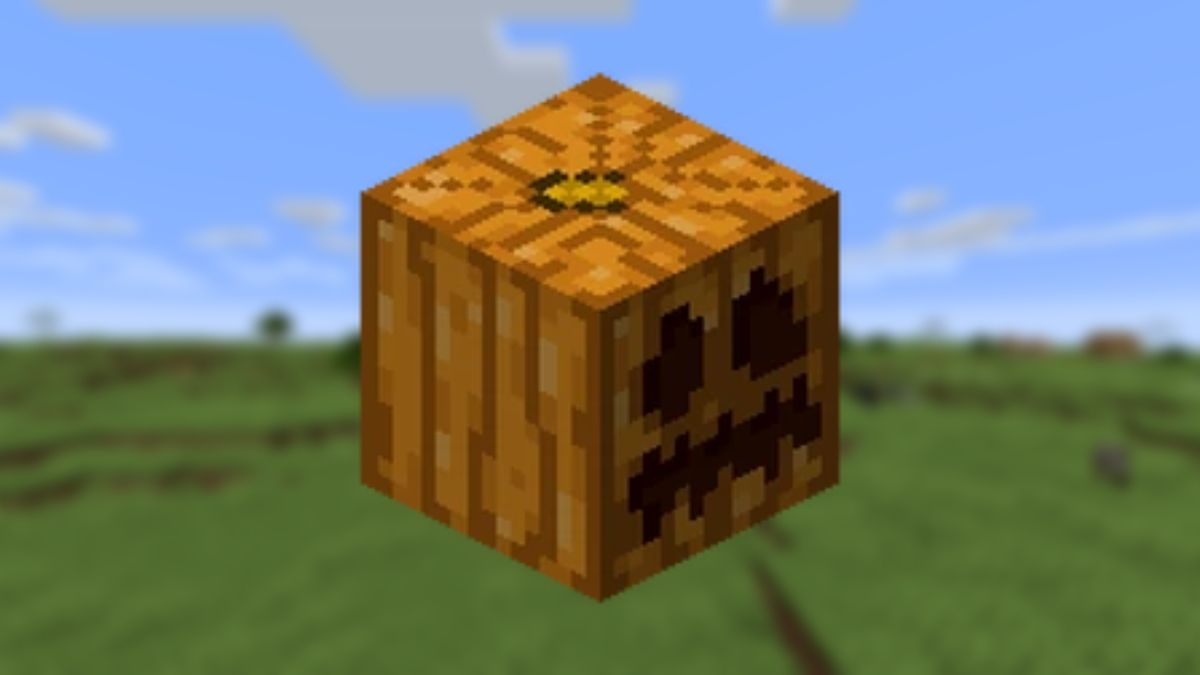 A jack-o-lantern pumpkin displayed on a blurry background of some plains in Minecraft