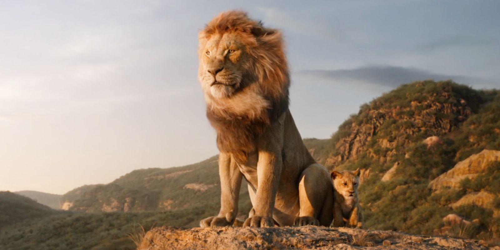 Simba e Mufasa olham para as terras do orgulho no rei do leão 2019