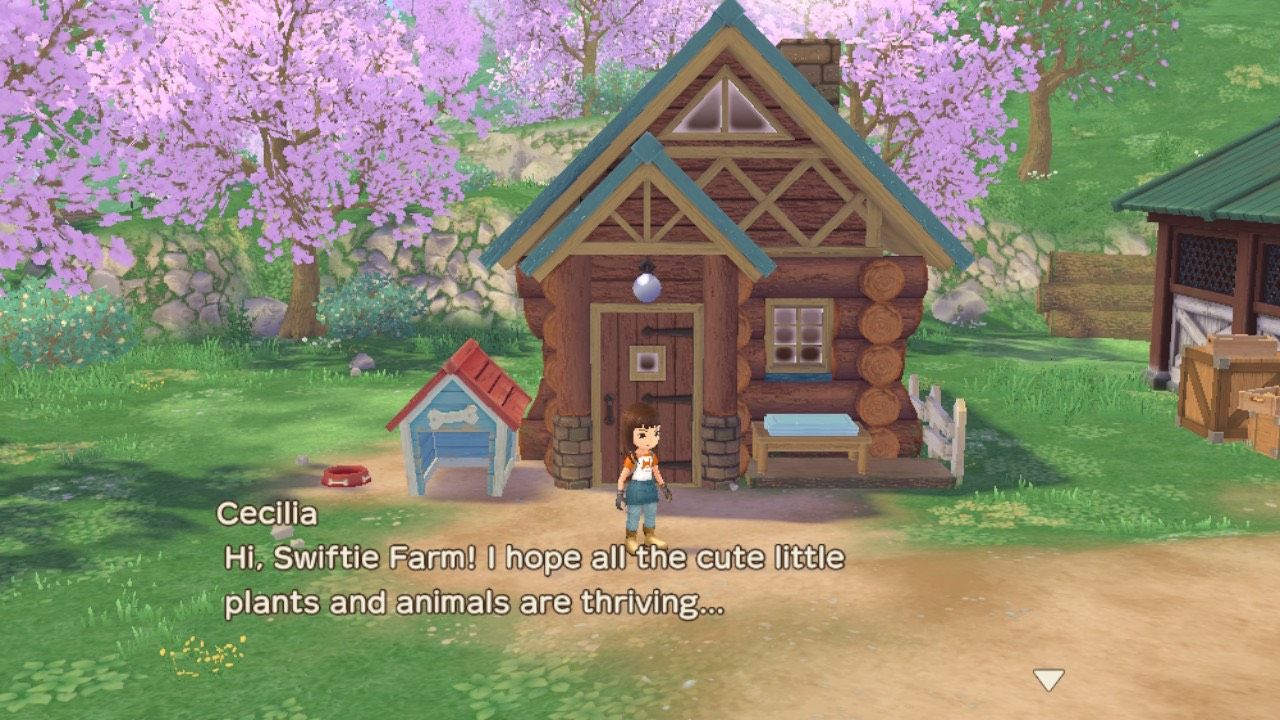 SoS AWL Farm scene showing the player in front of their house and Cecilia talking off screen.