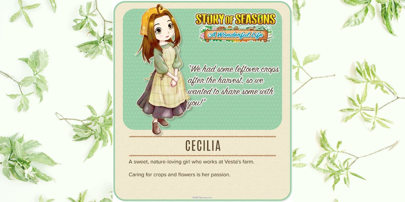 Story of Seasons Wonderful Life Cecilia