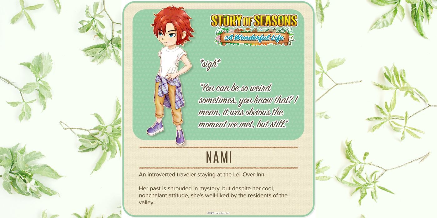 Story of Seasons Wonderful Life Nami