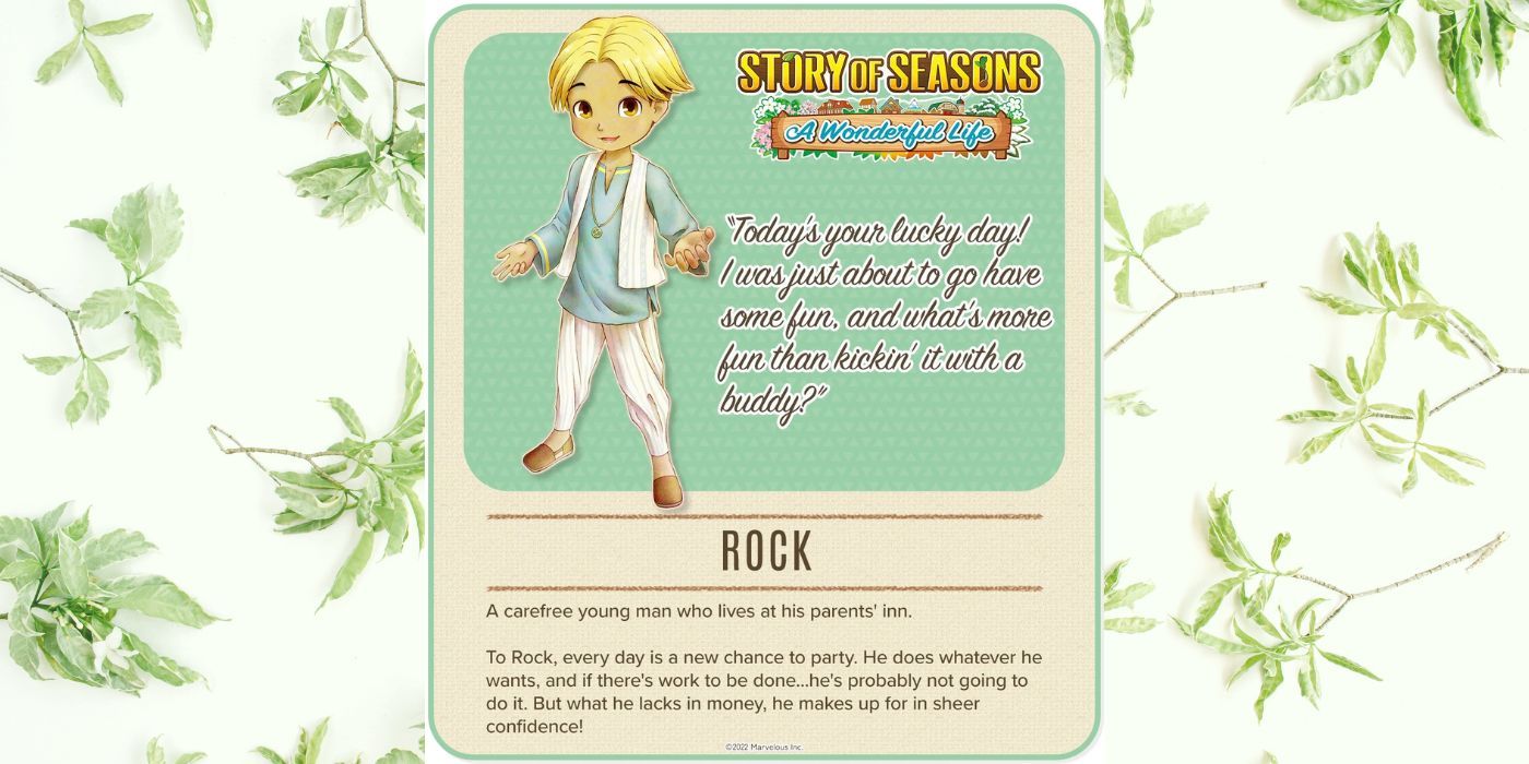 Story of Seasons Wonderful Life Rock