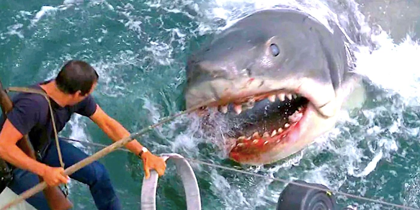 The shark attacks Brody in Jaws 1975