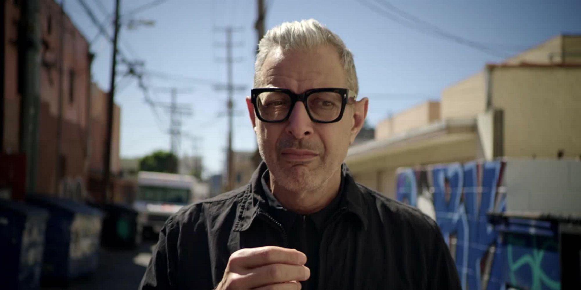 The World According to Jeff Goldblum