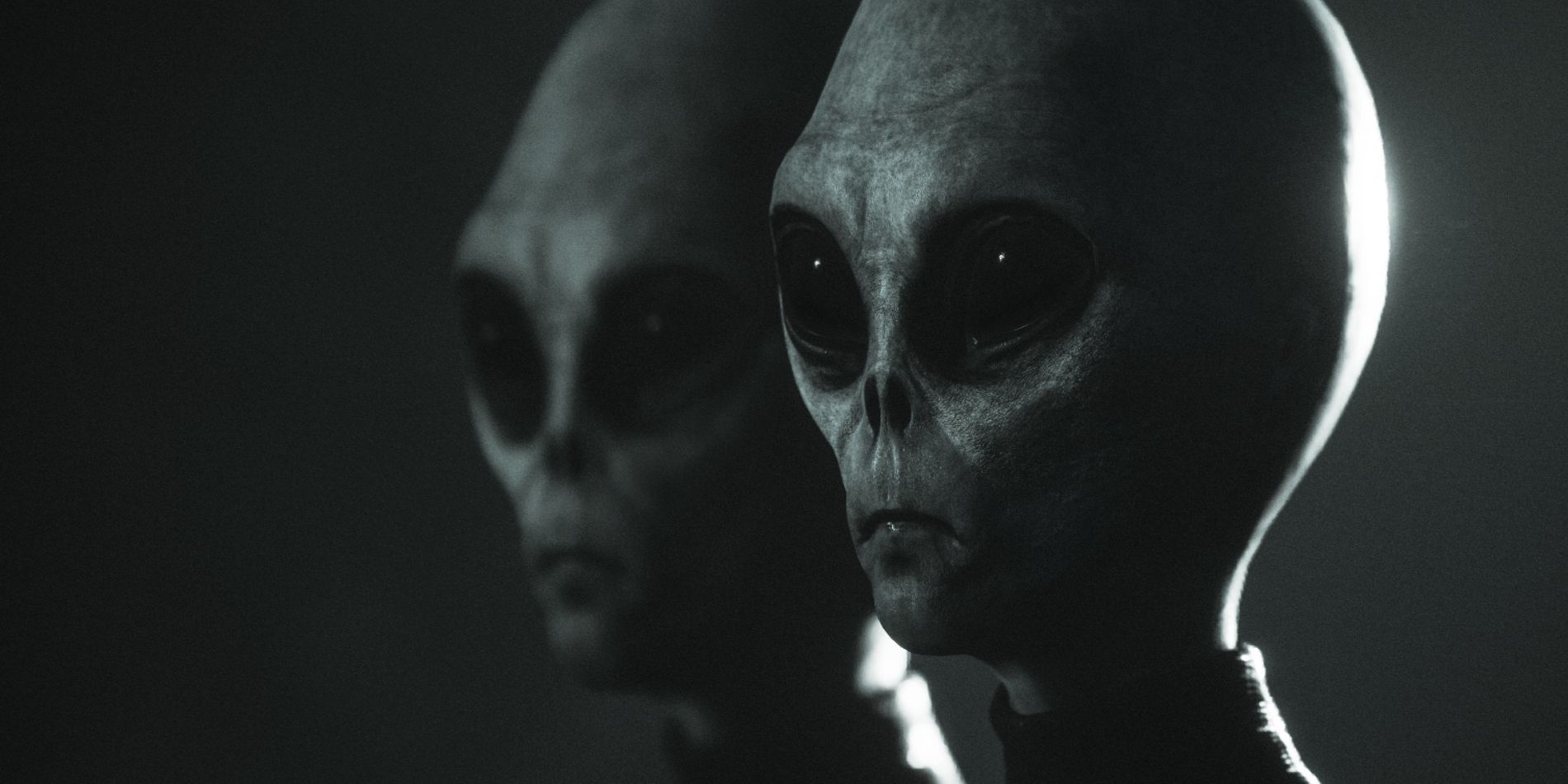 Two of The Grey aliens from the game Greyhill Incident standing next to each other, with large heads, big black eyes, and small mouths.