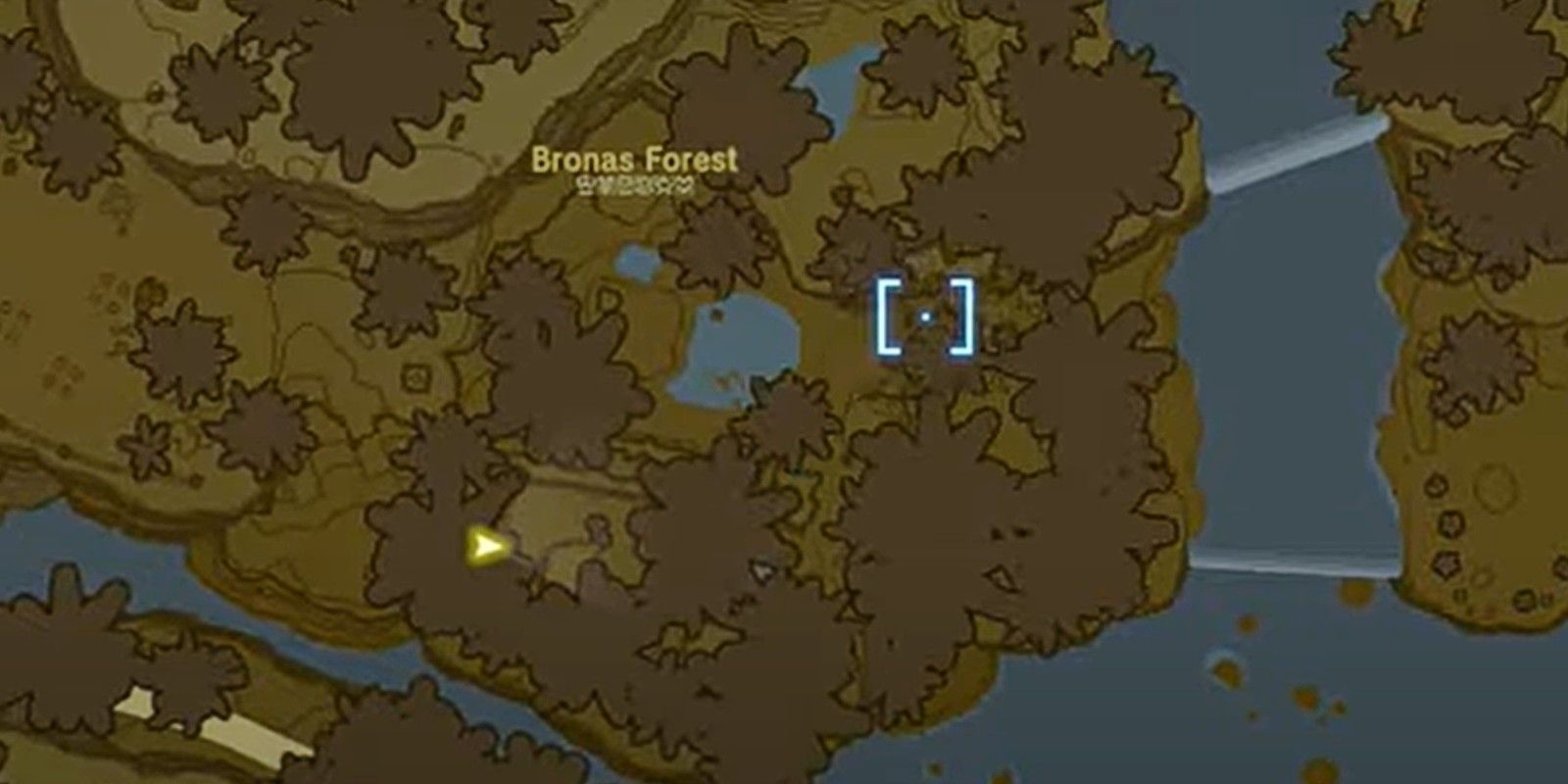 Lokasi Ketiga untuk menemukan Kumbang Badak Energik di Zelda TOTK